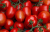 В Украине подорожали турецкие помидоры