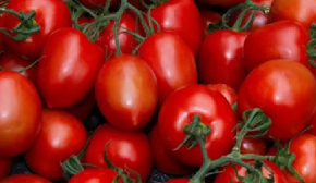В Україні здорожчали турецькі помідори
