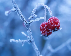 Невеликий дощ зі снігом і поривчастий вітер: прогноз на суботу