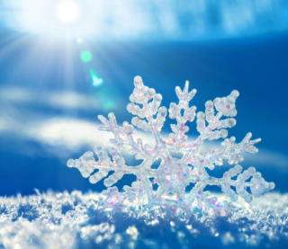 Гололед и мокрый снег: синоптики предупредили украинцев о скользких дорогах