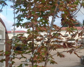 "Атеш" заявил о разведке ключевого логистического центра флота РФ в Севастополе