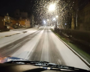 Перший сніг накрив Київ та область: фото