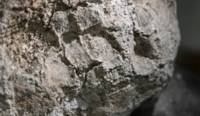 Археологи нашли следы рук в римских захоронениях Британии