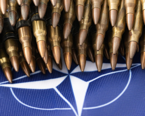 США и часть партнеров не поддержали членство Украины в НАТО