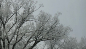Почему в этот день важно держать деньги в кошельке: приметы дня