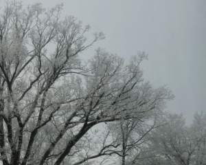 Почему в этот день важно держать деньги в кошельке: приметы дня