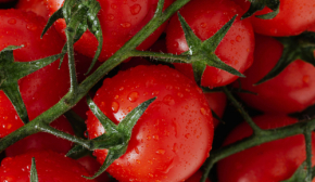 Перед праздниками в Украине растут цены на помидоры: назвали причину