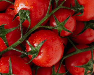 Перед святами в Україні зростають ціни на тепличні помідори: назвали причину