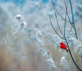 Синоптики оновили прогноз на вівторок