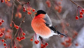 Не обіцяйте, якщо не виконаєте: що заборонено робити сьогодні
