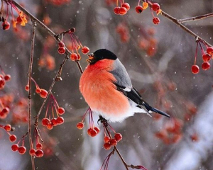 Не обіцяйте, якщо не виконаєте: що заборонено робити сьогодні