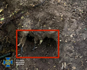 Вбивство Парубія: СБУ знайшла пістолет кілера