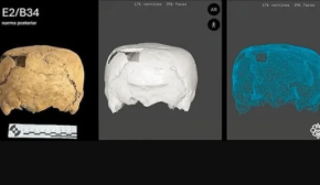 Археологи знайшли у Мексиці череп із невідомою формою деформації