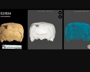 Археологи обнаружили в Мексике череп с неизвестной формой деформации