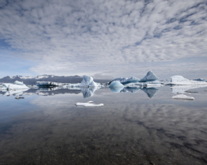 В Арктике фиксируют самую высокую температуру за 125 лет