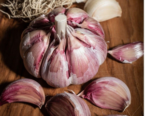 Чем подкормить чеснок в декабре для быстрого роста весной: удобрение, которое есть почти у каждого