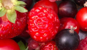 Визначили головний смак 2026 року: що стає популярним у світі