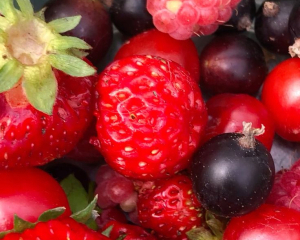 Определили главный вкус 2026 года: что становится популярным в мире