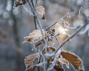 Синоптики обновили прогноз на четверг