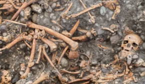 Знайшли місце масових страт: у землі були десятки скелетів