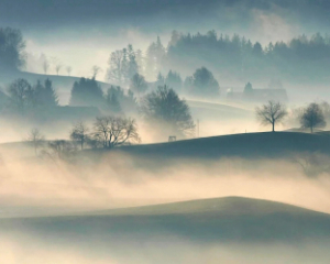 Сухо, небольшой туман: синоптики озвучили прогноз перед праздниками