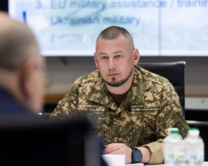 Палиса заявил, что не может стать послом Украины в США