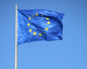 Понад 120 депутатів Європарламенту закликали використати заморожені активи РФ для України