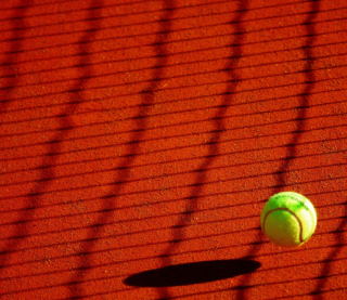Марта Костюк увійшла до рейтингу WTA, Україна встановила історичний рекорд
