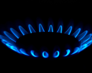 Нафтогаз домовився про зберігання нафтопродуктів в Угорщині