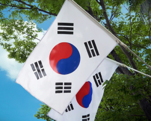 Diplomatic scandal: South Korea summons Ukrainian representative over reports of DPRK soldiers