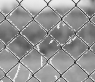 Заморозки у більшості областей: яка погода буде у неділю