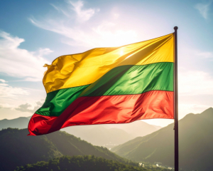 Литва ограничила предоставление временной защиты для мужчин