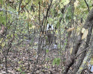У Молдові впав і вибухнув безпілотник, системи спостереження не зафіксували перетину кордону