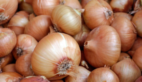 Які продукти в Україні подешевшали