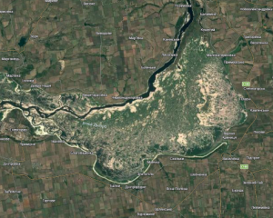 На дні Каховського водосховища виявили вже щонайменше 400 видів рослин