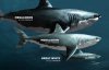 Нашли остатки гигантской акулы-динозавра