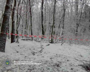 Тело без вести пропавшего строителя нашли в лесу