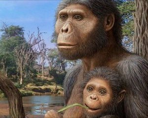 Ученые нашли самого большого предка человека