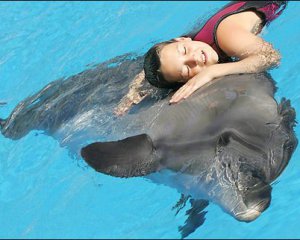 З&#039;ясували, чому для дельфінів шкідливе спілкування з людьми