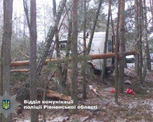 Мікроавтобус влетів у дерево: водій помер на місці