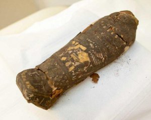 Археологи нашли уникальную мини-мумию
