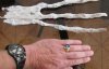 Археологи нашли странную мумифицированную руку