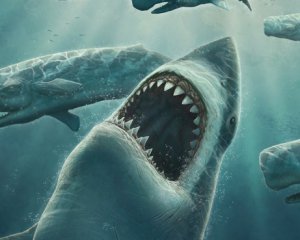 Вчені з&#039;ясували причину вимирання гігантських акул