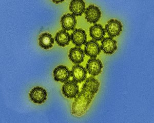 За тиждень від грипу померло 6 людей