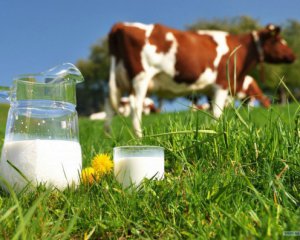 Чому подорожчало молоко - експерт