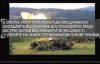 Військові пояснили, як себе вести під час обстрілів