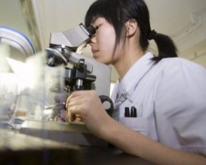 Китайські вчені клонували стійку до туберкульозу корову