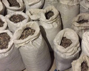 Янтарная лихорадка: генпрокурор отчитался о первой облаве