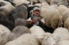 Дети лечат стресс катанием на овцах