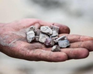 Військові захищатимуть Житомирщину від "бурштинової війни"